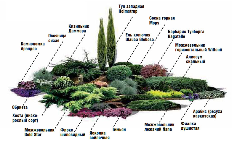 Альпийская горка своими руками: как построить, декорировать и ухаживать (70 фото)